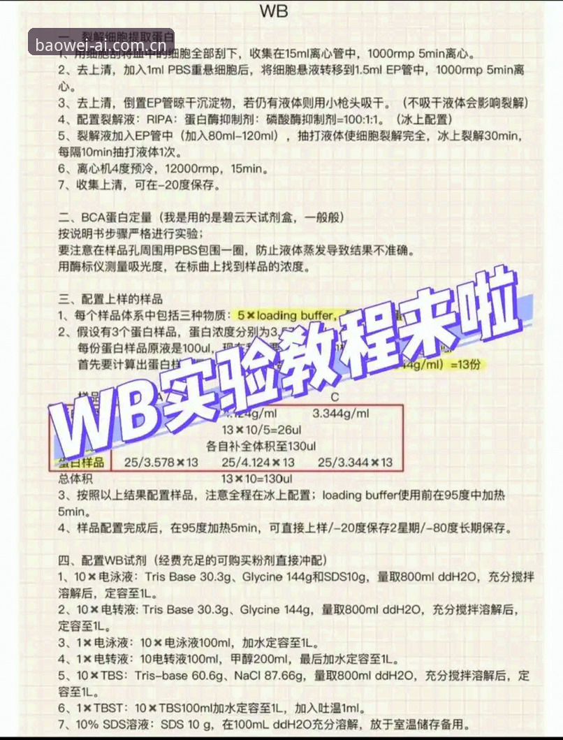 3个关键步骤掌握BWP登录官网，解锁宝威体育全新体验